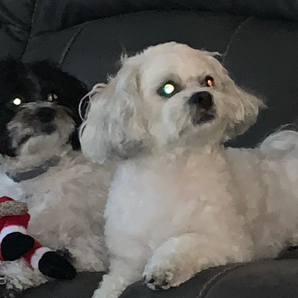 Meet your Posher, Scott - Picture 1 of 1